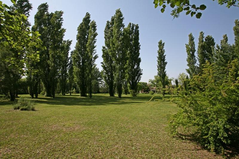 Luberon in Provence, old mas fully renovated in more than 2.6 hectares of parkland.